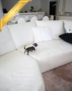 NOVA - FEMALE - Image 6