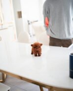 VICTORIA - FEMALE (PURCHASED by LEE) - Image 2