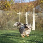 ALLURE - FEMALE (PURCHASED by JACK)