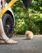 BUTTERS - MALE (PURCHASED by ASHLEE) - Image 4