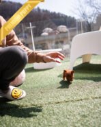 BUNNY - MALE (PURCHASED by NICHOLAS) - Image 7