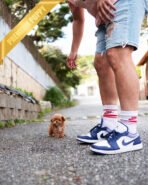 JESSICA - FEMALE (PURCHASED by LOURDES) - Image 5