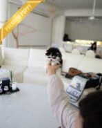 JACKSON - MALE (PURCHASED by ZHEN) - Image 2