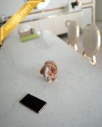 MARCO - MALE (PURCHASED by LUIS) - Image 5