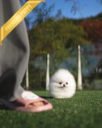 TAYLOR - FEMALE (PURCHASED by JESSICA)