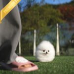 TAYLOR - FEMALE (PURCHASED by JESSICA)