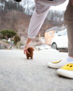 JENNIE - FEMALE (PURCHASED by TESSA) - Image 3