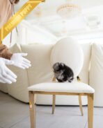 THOR - MALE (PURCHASED by ANONYMOUS) - Image 6