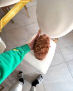 JESSICA - FEMALE (PURCHASED by SHIN) - Image 5