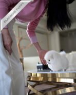 MOCHI - FEMALE (PURCHASED by KIMBERLY) - Image 3