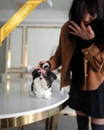 PANDA - MALE - Image 2