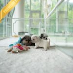 WRINKLES - FEMALE (PURCHASED by CHEN)