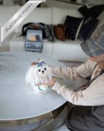 BENTLEY - MALE (PURCHASED by SIMONA)