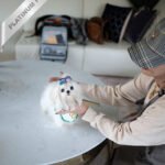 BENTLEY - MALE (PURCHASED by SIMONA)