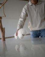 DOROTHY - FEMALE (PURCHASED by AN) - Image 2