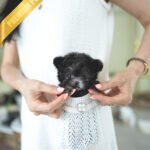 AMELIA - FEMALE (PURCHASED by LEROY)