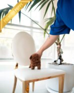 DAPHNE  - FEMALE (PURCHASED by JEANETTE) - Image 4