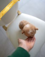 THEO - MALE (PURCHASED by TESSA) - Image 7