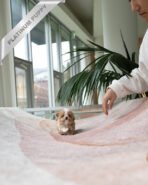 PUFFY - FEMALE (PURCHASED by DIANA) - Image 6