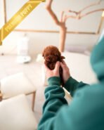 JESSICA - FEMALE (PURCHASED by ANGIE) - Image 3