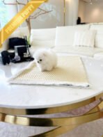 SOM - MALE (PURCHASED by STEPHEN)