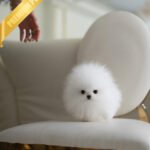 GLACIER - MALE (PURCHASED by MAKITA)