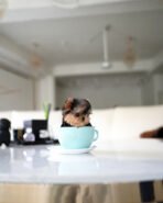 JAKE - MALE (PURCHASED by YUKI) - Image 4