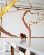 MILO - MALE (PURCHASED by MICHAEL) - Image 5