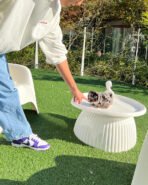 HUGO - MALE (PURCHASED by CHEVY & CHALlSA) - Image 6