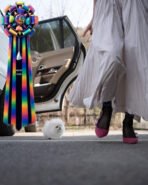 GIOVANNI - MALE (PURCHASED by DON) - Image 5