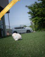 CLOUD - FEMALE (PURCHASED by CATHERINE) - Image 5