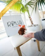 TIPPY - FEMALE (PURCHASED by COURTNEY) - Image 4