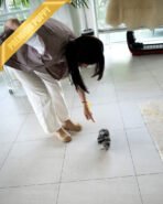 OREO - MALE (PURCHASED by DARIUS) - Image 6