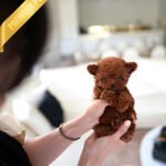 TIPPY - FEMALE (PURCHASED by CHRISTI)