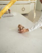 DOLORES - FEMALE (PURCHASED by MELBOURNE) - Image 8