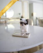 TEDDY - MALE (PURCHASED by SANTIAGO) - Image 3