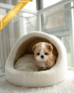 CHLOE - FEMALE - Image 3