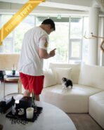 KODA - MALE (PURCHASED by SACHI) - Image 6