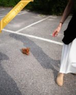 MILO - MALE (PURCHASED by LILIANA) - Image 8