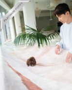 PIXIE - FEMALE (PURCHASED by JAYLAH) - Image 5