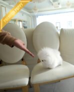 GLACIER - MALE (PURCHASED by MARIANO) - Image 3