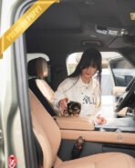 STELLA - FEMALE (PURCHASED by DANA) - Image 3