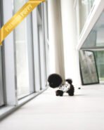 NOIR - MALE (PURCHASED by ARTEM) - Image 5