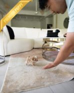 VIVI - FEMALE (PURCHASED by ELINA) - Image 5