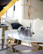 ASPEN - MALE (PURCHASED by YELLI) - Image 5