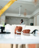 ONYX & MURPHY - MALE - Image 6