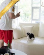 KODA - MALE (PURCHASED by SACHI) - Image 7