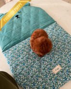 MITCH - MALE (PURCHASED by KIM) - Image 5