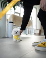 GIGI - FEMALE (PURCHASED by LAUREN) - Image 3