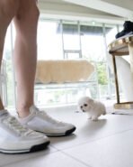 LEWIS - MALE (PURCHASED by KEN) - Image 4